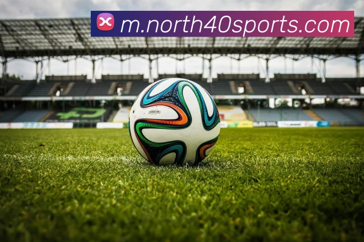 体育下注品牌故事